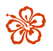 Institut Aloha Icon
